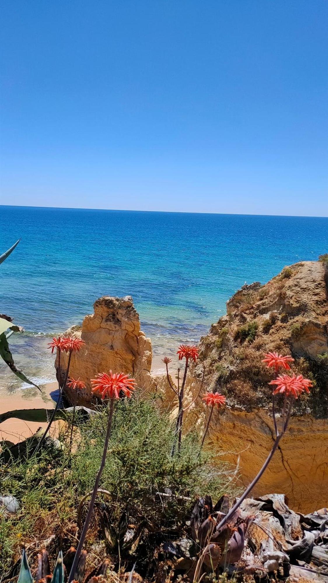 Cantinho Do Sol - Sea View, Quiet, Cozy And Relaxing Flat Armação de Pêra Εξωτερικό φωτογραφία