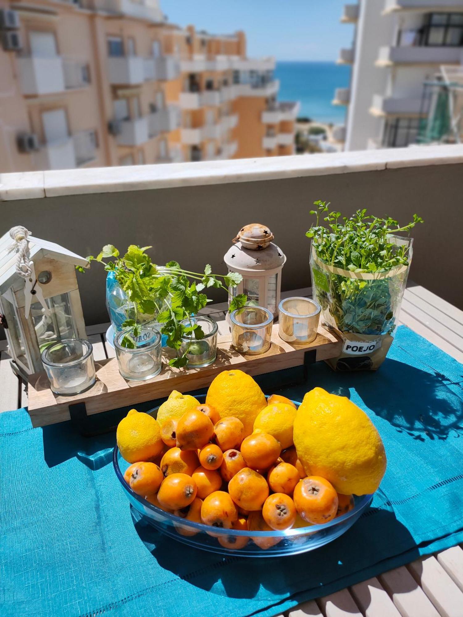Cantinho Do Sol - Sea View, Quiet, Cozy And Relaxing Flat Armação de Pêra Εξωτερικό φωτογραφία